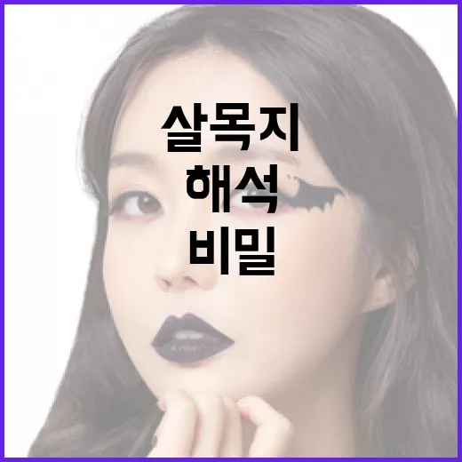 살목지 해석의 비밀, 이렇게 풀어보자 - 요약
