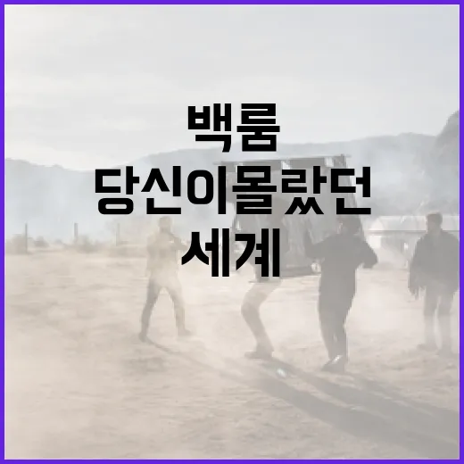 영화 백룸: 당신이 몰랐던 매력적인 영화의 세계 - 요약