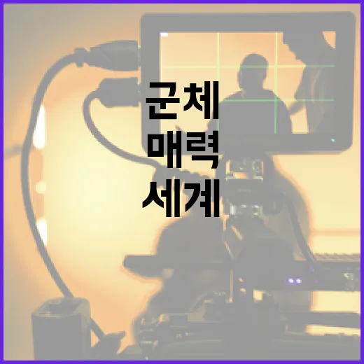 군체의 세계: 다양한 형태와 그 매력 - 요약