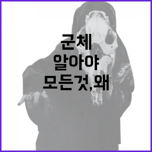 군체 정보의 모든 것, 왜 알아야 할까요? - 요약