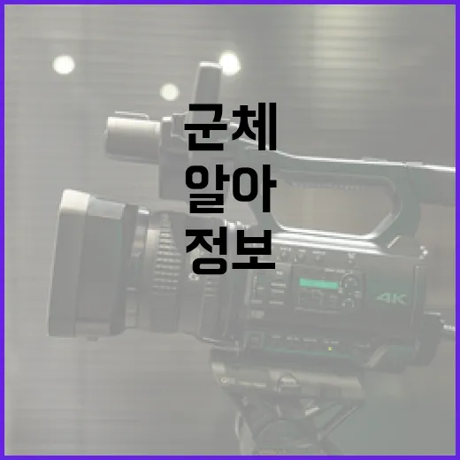 군체 정보 알아가기: 군체의 모든 것 - 요약