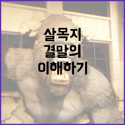 살목지 결말의 모든 것, 이해하기 쉽게 설명합니다 - 요약