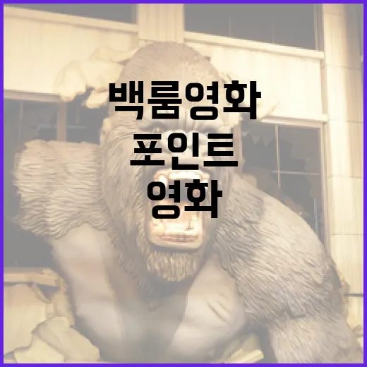 백룸 영화의 매력과 감상 포인트 - 요약