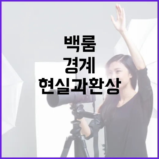 백룸을 이해하는 방법: 현실과 환상의 경계 - 요약