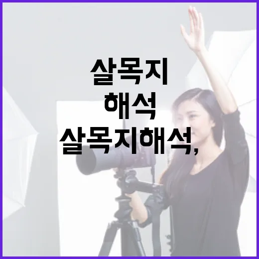 살목지 해석, 이렇게 접근해보세요 - 요약
