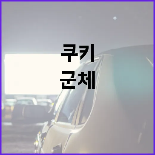 군체 쿠키로 게임을 더 재미있게 하는 방법 - 요약