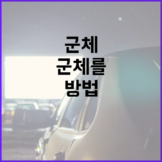 효율적으로 군체를 이해하는 방법 - 요약