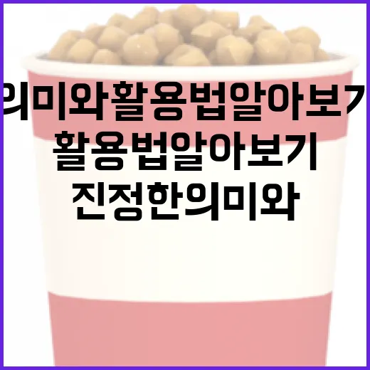 오하나의 진정한 의미와 활용법 알아보기 - 요약