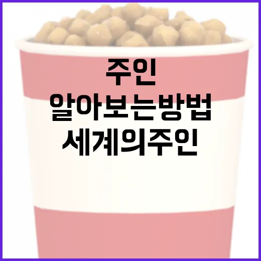 세계의 주인 정보를 알아보는 방법 - 요약