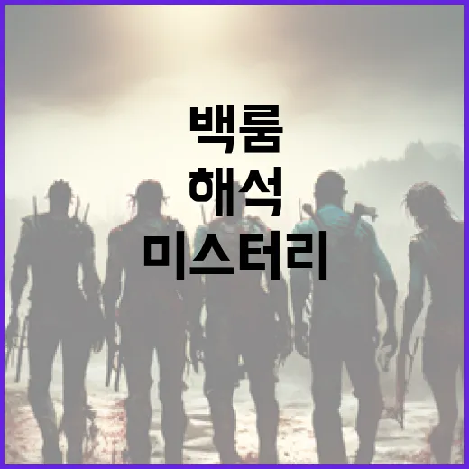 백룸 해석: 미스터리한 공간을 이해하는 방법 - 요약