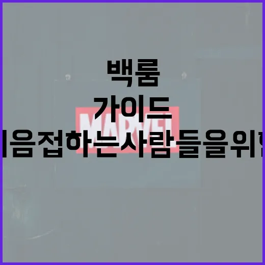 백룸을 처음 접하는 사람들을 위한 가이드 - 요약