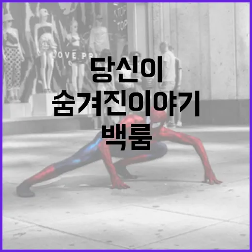 백룸 해석: 당신이 놓치고 있는 숨겨진 이야기 - 요약