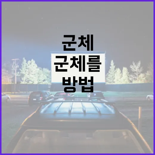 군체를 이해하고 활용하는 방법 - 요약