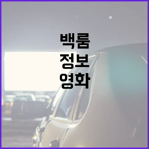 영화 '백룸' 완벽 이해하기: 놓치면 후회할 정보들 - 요약