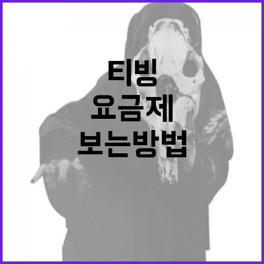 티빙 처음 쓰는 사람이 요금제 고르고 알차게 보는 방법 - 요약
