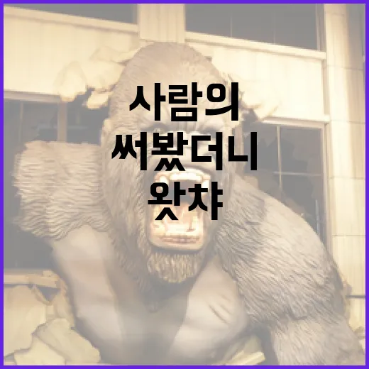 왓챠 오래 써봤더니 보이는, 취향 맞는 사람과 아닌 사람의 차이 - 요약