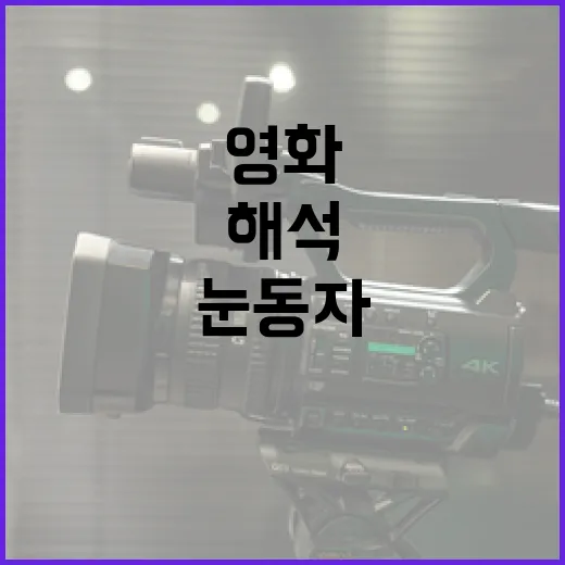 영화 1000편 넘게 보며 느낀 눈동자 해석의 진짜 이야기 - 요약