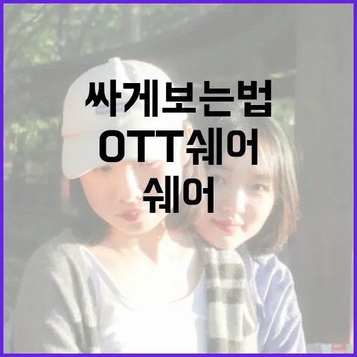 OTT쉐어 몇 달 써봤더니, 싸게 보는 법보다 먼저 보인 것들 - 요약