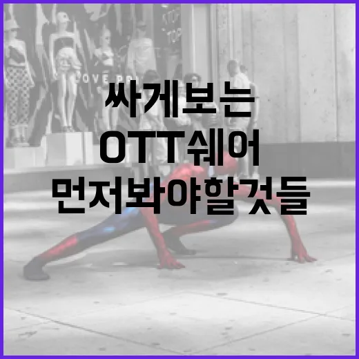 OTT쉐어 몇 달 써봤더니, 싸게 보는 것보다 먼저 봐야 할 것들 - 요약
