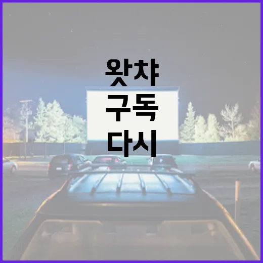 왓챠를 다시 구독해봤더니, 취향이 뚜렷한 사람에게 더 잘 맞았다 - 요약