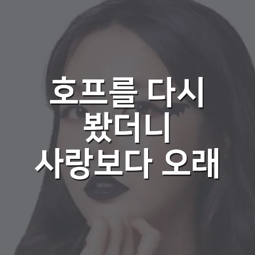 호프를 다시 봤더니 사랑보다 오래 남은 건 생활이었다: 호프 영화 해석 - 요약