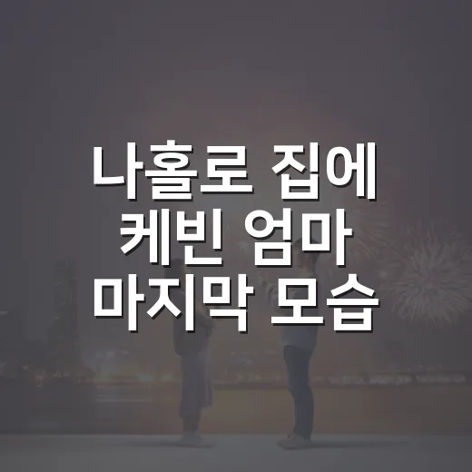 나홀로 집에 케빈 엄마 마지막 모습, 다시 보니 웃음보다 먼저 보인 것 - 요약