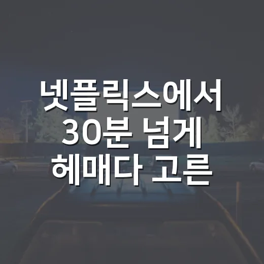 넷플릭스에서 30분 넘게 헤매다 고른 영화들, 취향별로 다시 골라봤다 - 요약