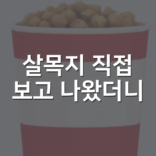 살목지 직접 보고 나왔더니, 한국 공포 영화가 다시 극장용이 된 이유 - 요약