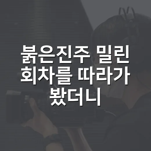붉은진주 밀린 회차를 따라가 봤더니, 일일극의 익숙함 속에 꽤 독한 맛이 있었다 - 요약