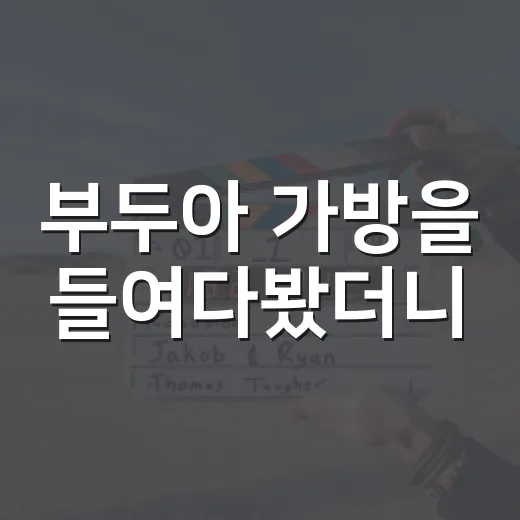 부두아 가방을 들여다봤더니, 화면 속 주인공들이 왜 이런 백을 고르는지 보였다 - 요약