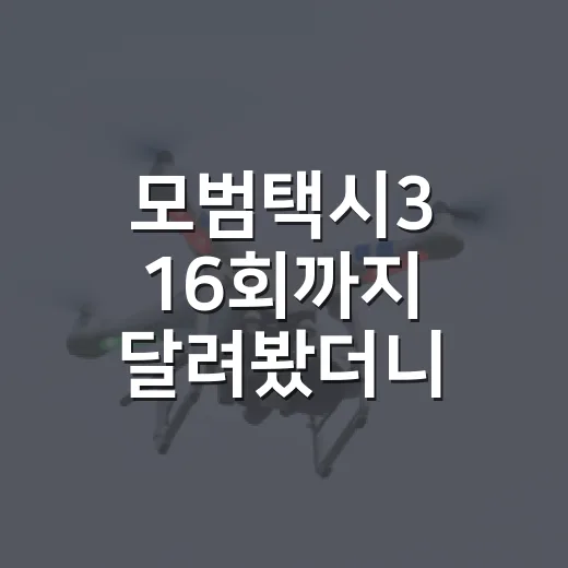 모범택시3 16회까지 달려봤더니, 미완의 결말이 더 오래 남았다 - 요약
