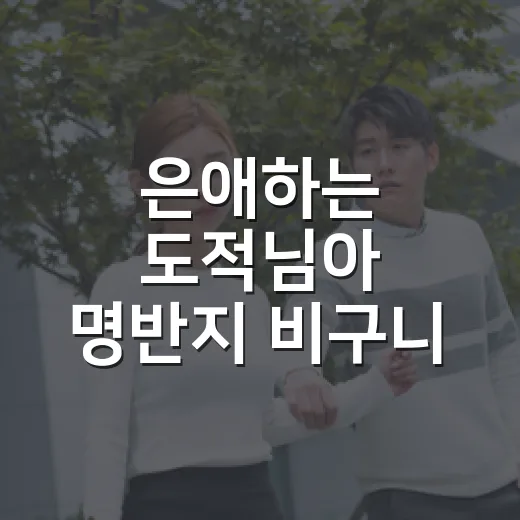 은애하는 도적님아 명반지 비구니 등장까지 보고 나니, 이 드라마의 판이 달라 보였다 - 요약