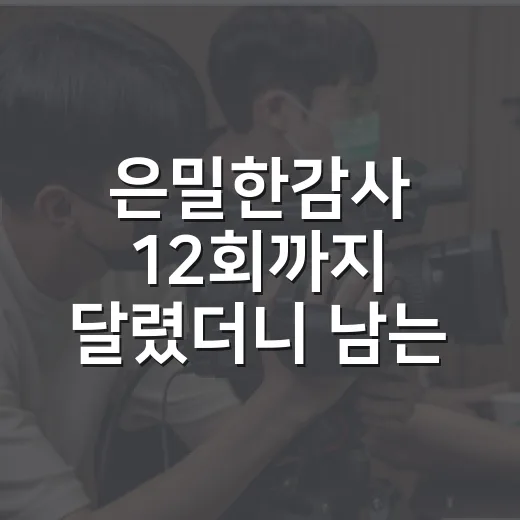 은밀한감사 12회까지 달렸더니 남는 건 로맨스보다 회사의 얼굴이었다 - 요약
