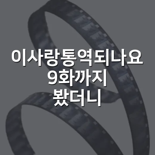 이사랑통역되나요 9화까지 봤더니, 로코가 갑자기 현실의 언어를 꺼냈다 - 요약