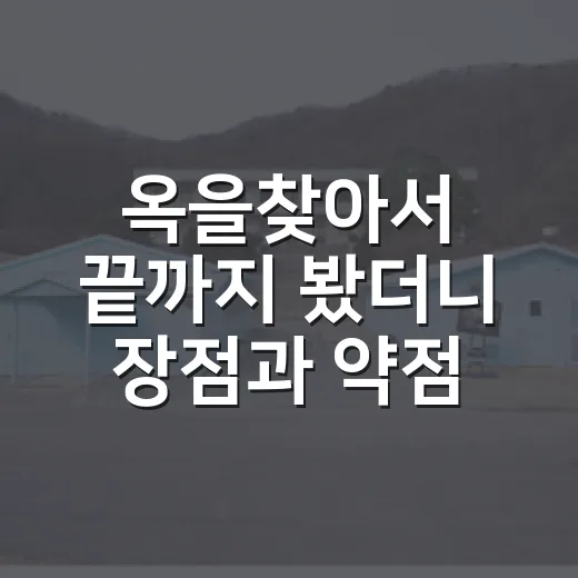 옥을찾아서 끝까지 봤더니 장점과 약점이 또렷했다 - 요약