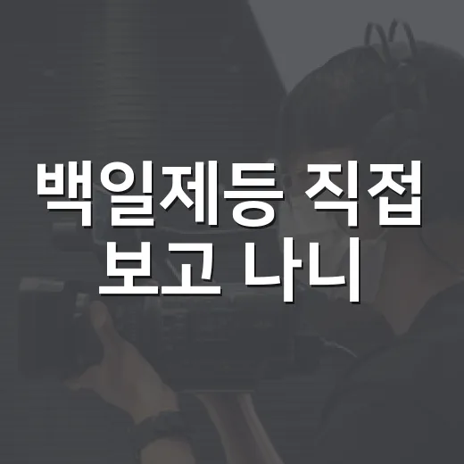 백일제등 직접 보고 나니, 이건 로맨스보다 고독의 취향 문제였다 - 요약
