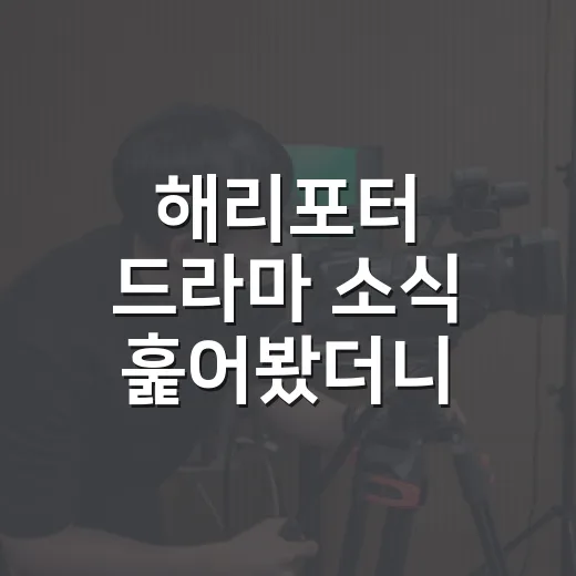 해리포터 드라마 소…