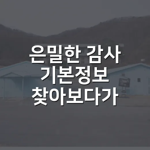 은밀한 감사 기본정보 찾아보다가 결국 끝까지 본 후기 - 요약