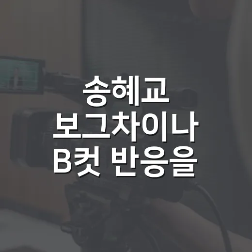 송혜교 보그차이나 …