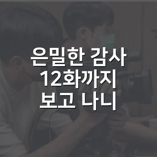 은밀한 감사 12화까지 보고 나니, 이 드라마가 끝내 남긴 건 사건보다 사람이었다 - 요약