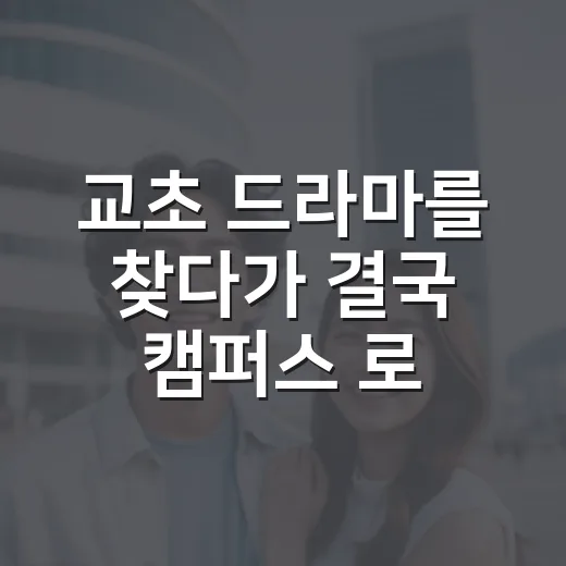 교초 드라마를 찾다가 결국 ‘캠퍼스 로맨스’ 취향표까지 만들게 된 이야기 - 요약