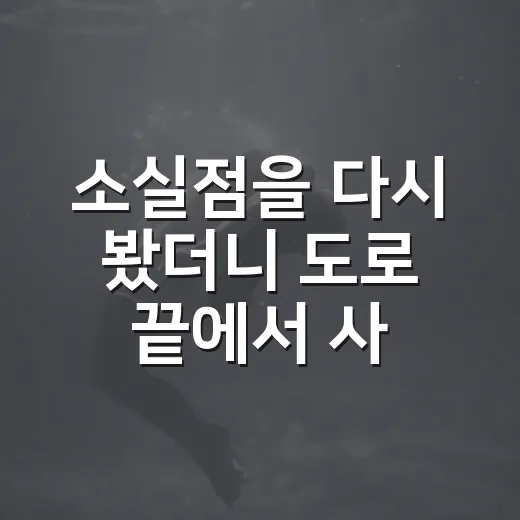 소실점을 다시 봤더니 도로 끝에서 사람이 사라지는 영화였다 - 요약
