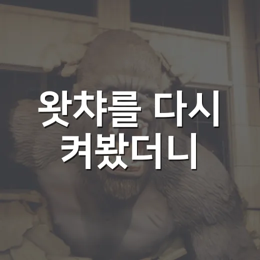 왓챠를 다시 켜봤더니, 취향이 좁은 사람에게 더 잘 맞았다 - 요약