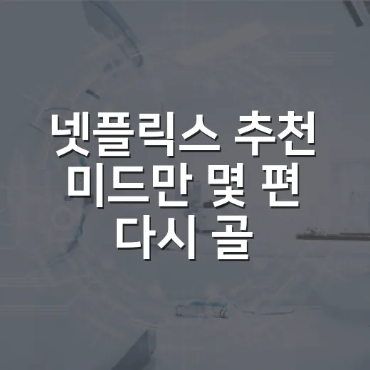 넷플릭스 추천 미드만 몇 편 다시 골라봤더니, 취향별 답이 꽤 달랐다 - 요약