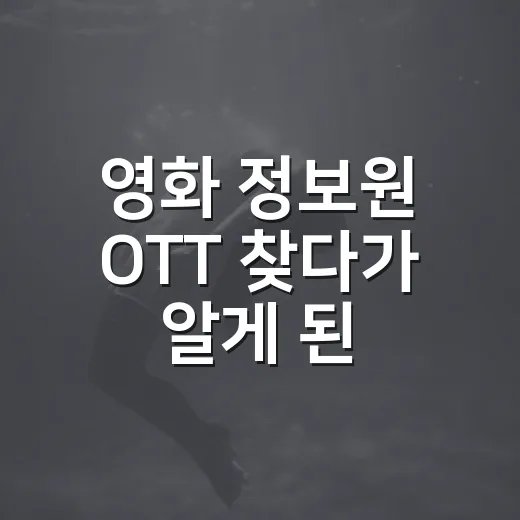 영화 정보원 OTT 찾다가 알게 된, 이 작품이 맞는 사람들 - 요약