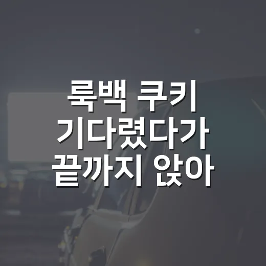 룩백 쿠키 기다렸다가 끝까지 앉아 있었던 후기 - 요약