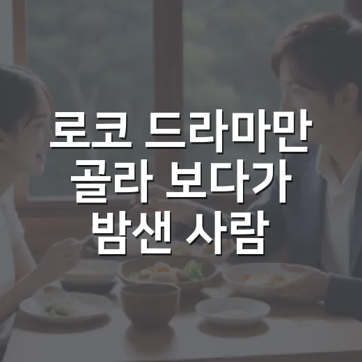 로코 드라마만 골라 보다가 밤샌 사람이 남겨본 진짜 추천 리스트 - 요약