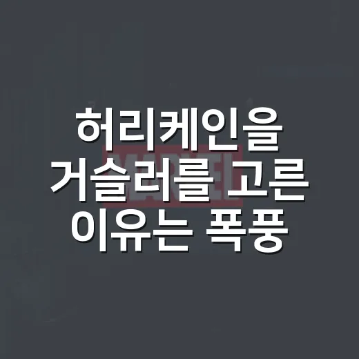 허리케인을 거슬러를 고른 이유는 폭풍 뒤의 형제였다 - 요약