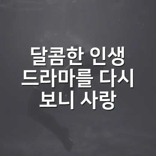 달콤한 인생 드라마를 다시 보니 사랑보다 외로움이 남았다 - 요약