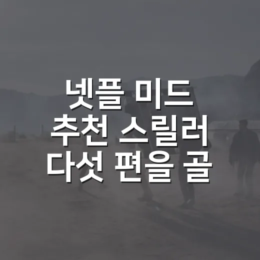 넷플 미드 추천 스릴러 다섯 편을 골라봤더니 - 요약